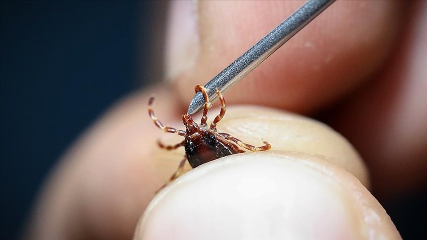 Yeni KKKA aşısı için klinik öncesi çalışmalara başlandı